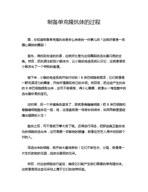 制备单克隆抗体的过程