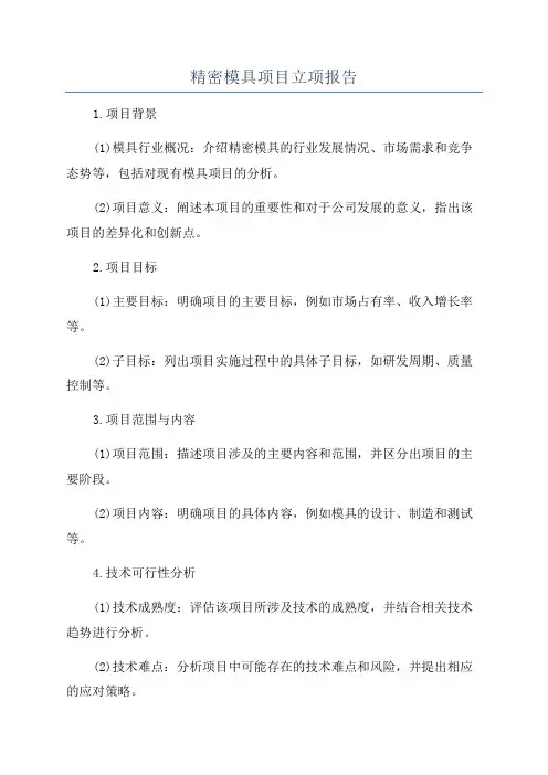 精密模具项目立项报告