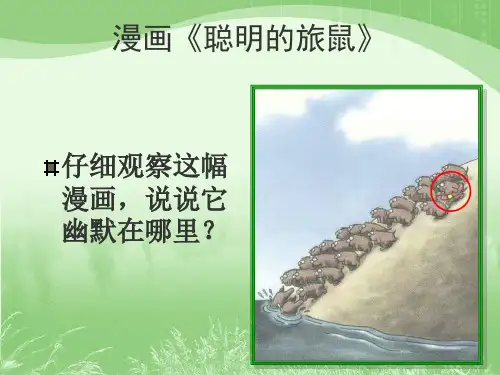 13旅鼠之谜课件