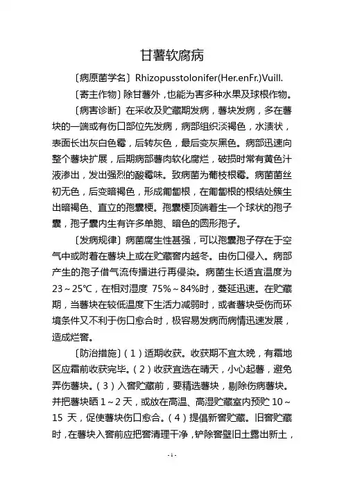 甘薯软腐病