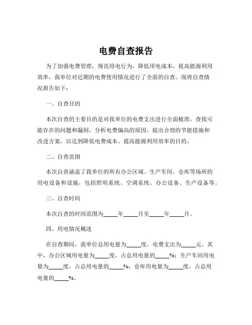 电费自查报告