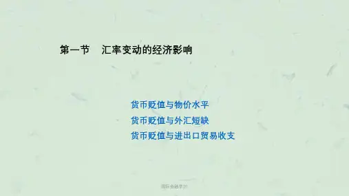 国际金融学10课件