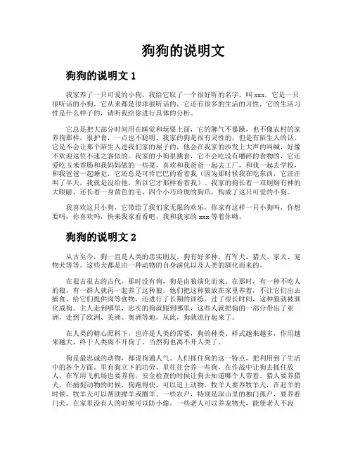 狗狗的说明文