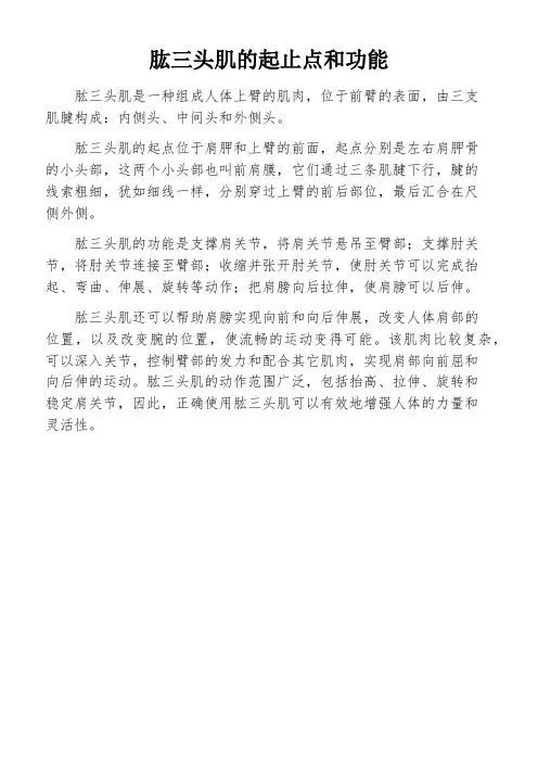肱三头肌的起止点和功能