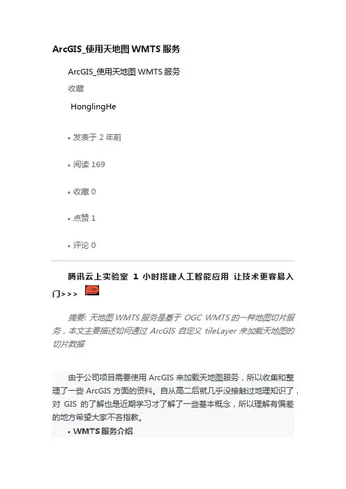 ArcGIS_使用天地图WMTS服务