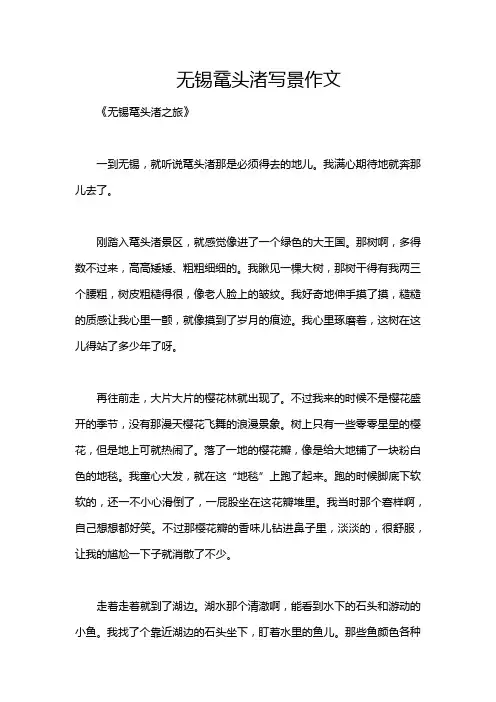 无锡鼋头渚写景作文