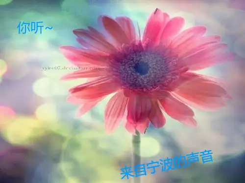 宁波话