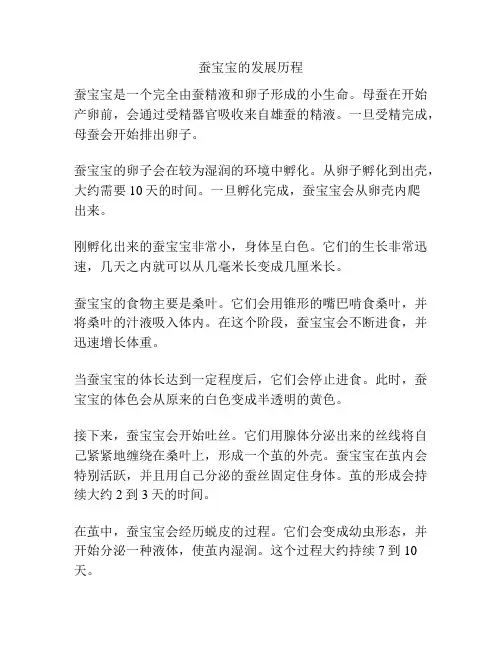 蚕宝宝的发展历程