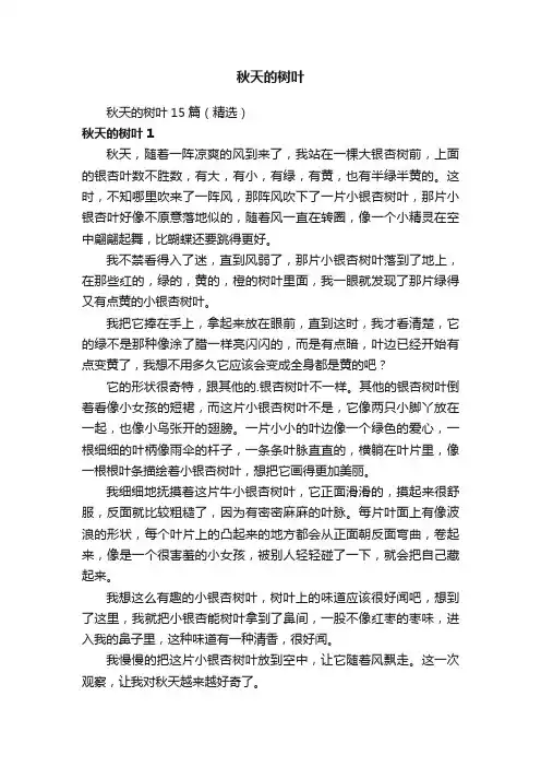 秋天的树叶15篇（精选）