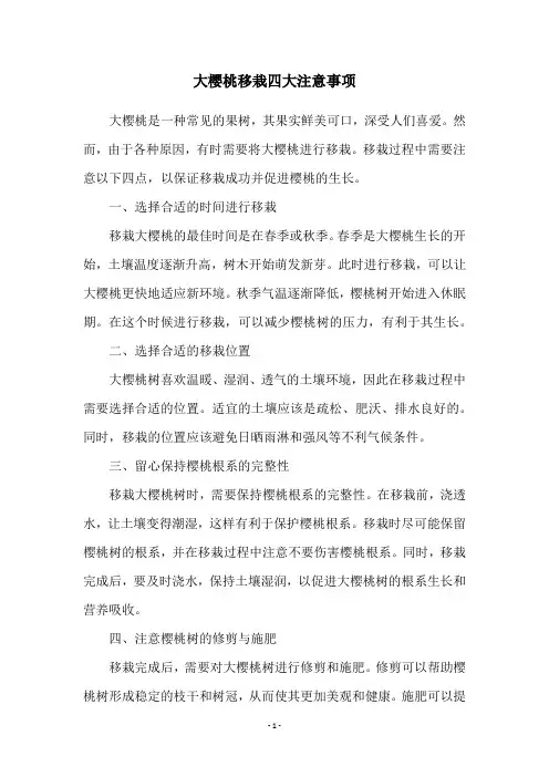 大樱桃移栽四大注意事项