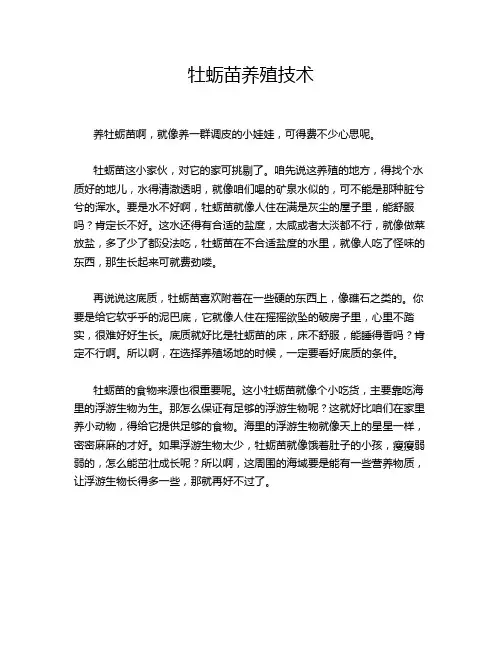 牡蛎苗养殖技术