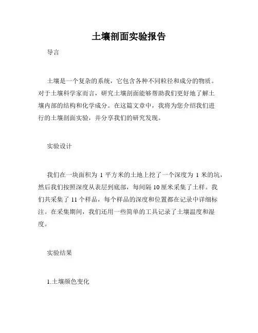 土壤剖面实验报告