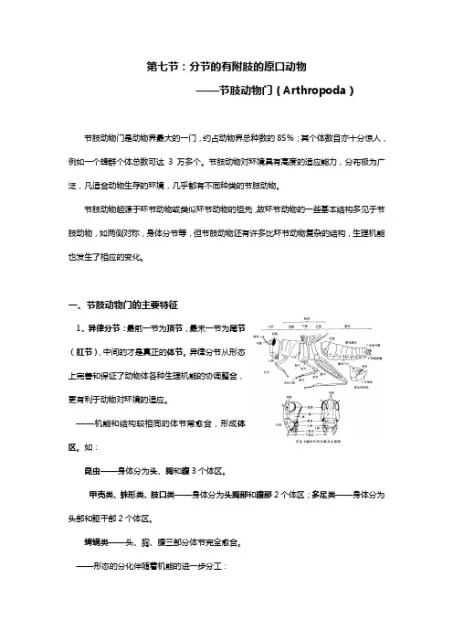 节肢动物门