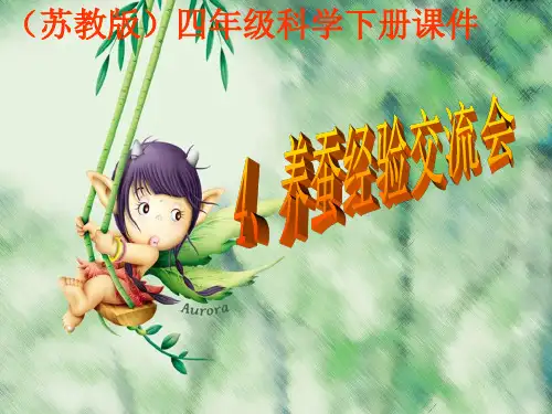 (苏教版)小学科学四下《养蚕经验交流会》PPT课件(同课异构)(2)