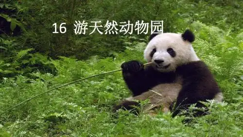 鄂教小学语文五年级下册《16游天然动物园》PPT课件 (1)