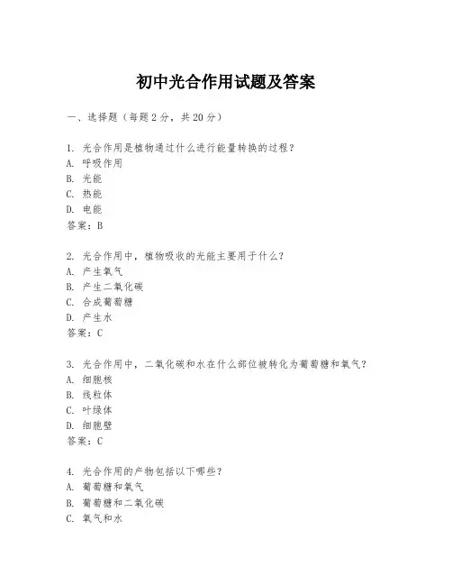 初中光合作用试题及答案