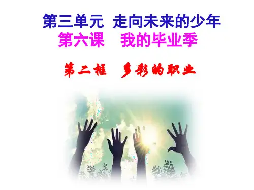 九年级道德与法治下册 6.2 多彩的职业 优秀PPT