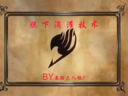 膜下滴灌技术!