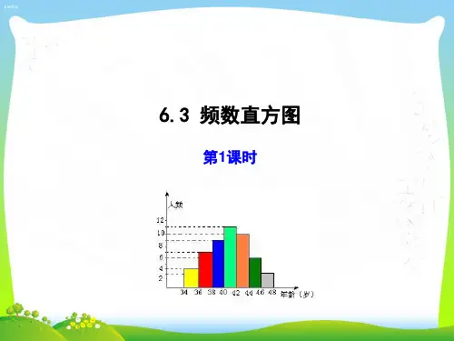 【最新】青岛版九年级数学下册第六章《频数直方图(1)》精品课件.ppt
