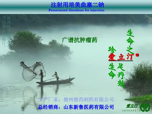 培美曲塞二钠课件