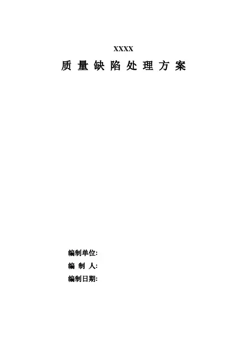 质量缺陷处理方案