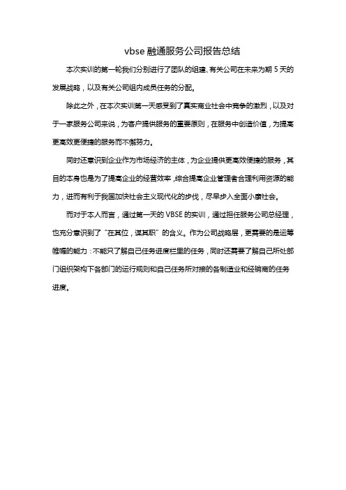 vbse融通服务公司报告总结