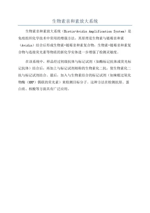 生物素亲和素放大系统