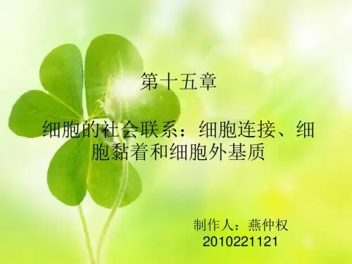 细胞的社会联系:细胞连接、细胞黏着和细胞外基质