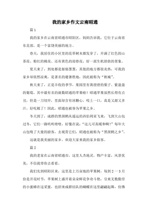 我的家乡作文云南昭通