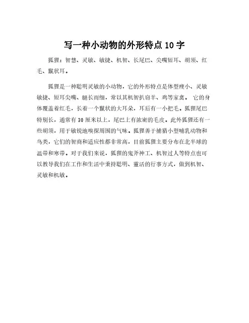 写一种小动物的外形特点10字