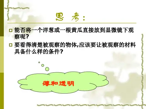 植物细胞和动物细胞PPT课件