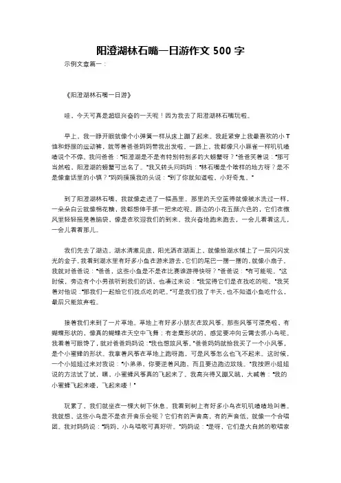 阳澄湖林石嘴一日游作文500字