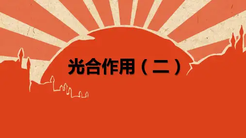 浙教版科学八年级下册-3.6-光合作用-课件2(18张PPT)