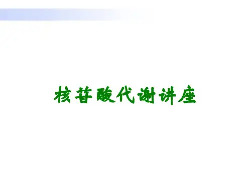 核苷酸代谢讲座