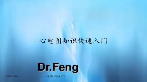 心电图知识快速入门(新课件)