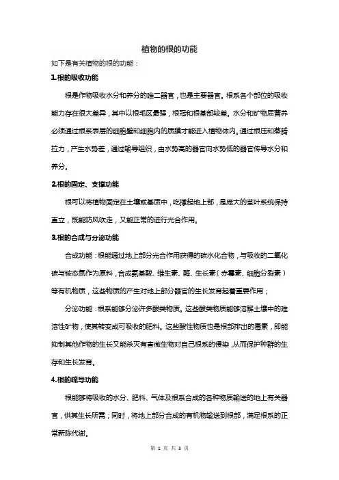 植物的根的功能