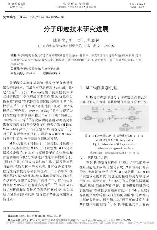 分子印迹技术研究进展