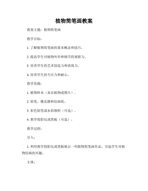 植物简笔画教案