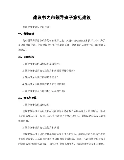建议书之市领导班子意见建议
