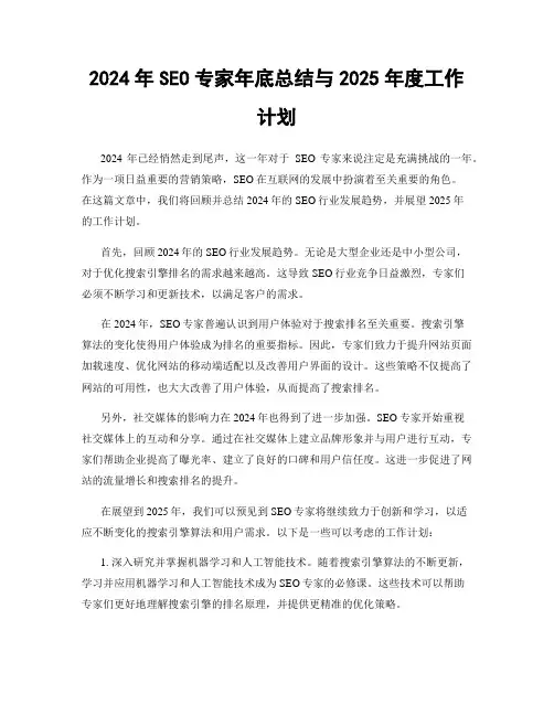 2024年SEO专家年底总结与2025年度工作计划