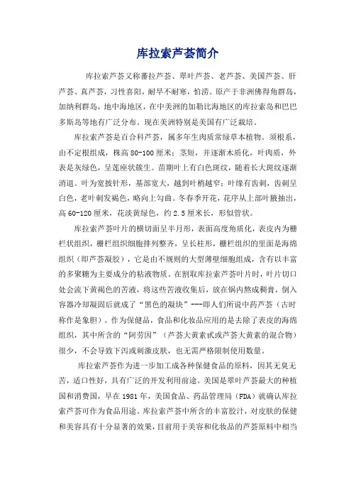 库拉索芦荟简介
