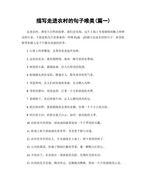 描写走进农村的句子唯美(精选两篇)