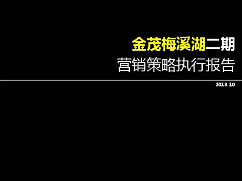 金茂梅溪湖二期营销策略执行报告.