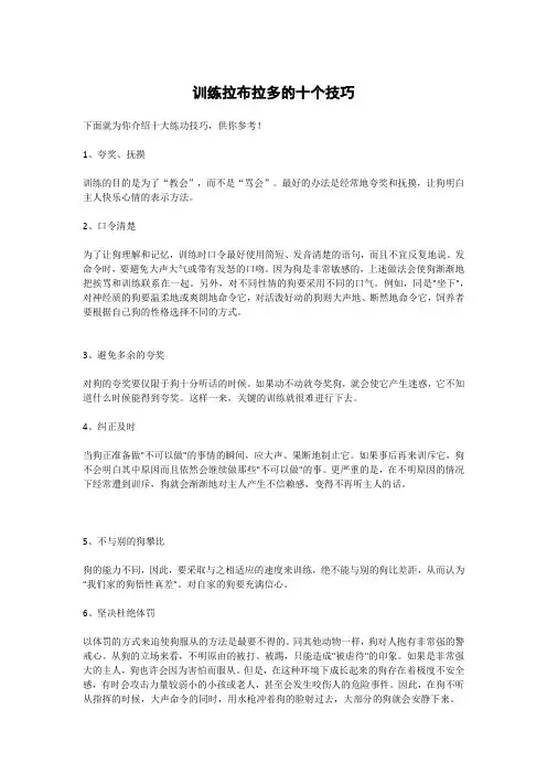 训练拉布拉多的十个技巧