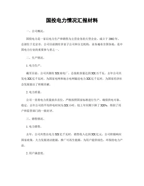 国投电力情况汇报材料