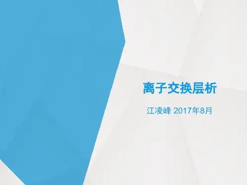 离子交换层析