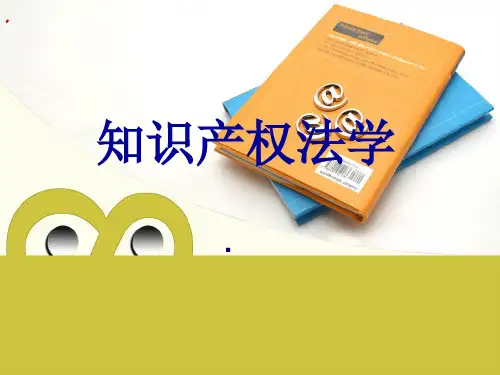 知识产权法学(第二版)课件：知识产权国际保护