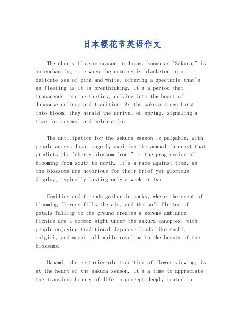 日本樱花节英语作文