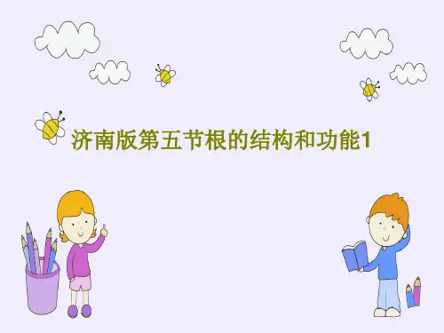 济南版第五节根的结构和功能128页PPT