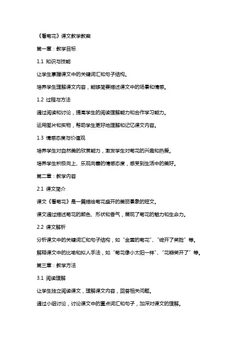 《看菊花》课文教学教案